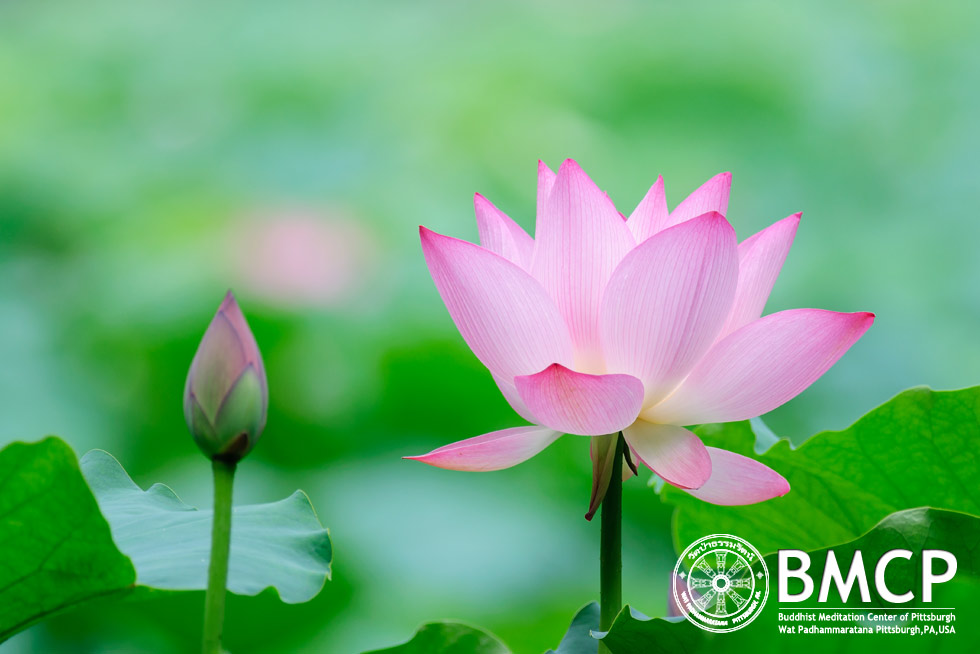 ประวัติวัด